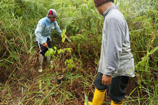 マレーシアでの熱帯雨林再生システムづくり推進活動（日本マレーシア協会）