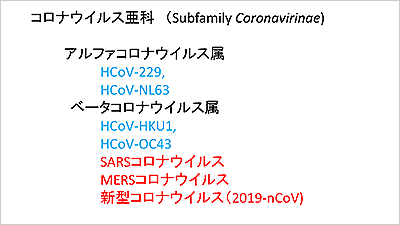 コロナウイルス亜科（Subfamily Coronavirinae）。青字はヒトに蔓延している風邪のウイルス4種類、赤字は動物から感染する重症肺炎ウイルス3種類。