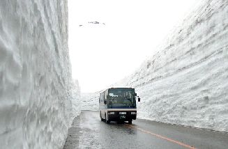写真2　「雪の大谷」を走る高原バス