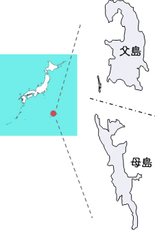 小笠原諸島（父島・母島）の地図