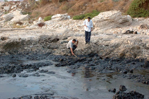 ベイルート北部　重油で汚染された海岸
