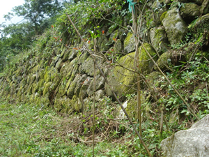 棚田の石垣