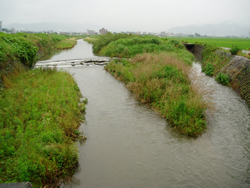 アユモドキが生息する河川