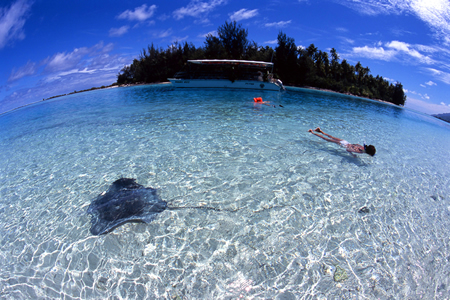 南太平洋 モーレア島 2004年1月