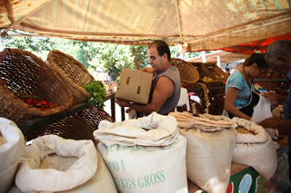 隣接する市場には、野菜や産物がいっぱい。