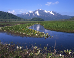 いまの尾瀬(檜枝岐村役場提供)