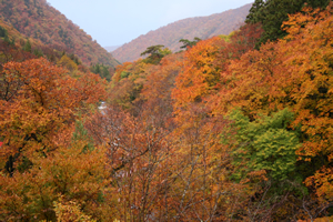 秋の檜枝岐(2011年撮影)