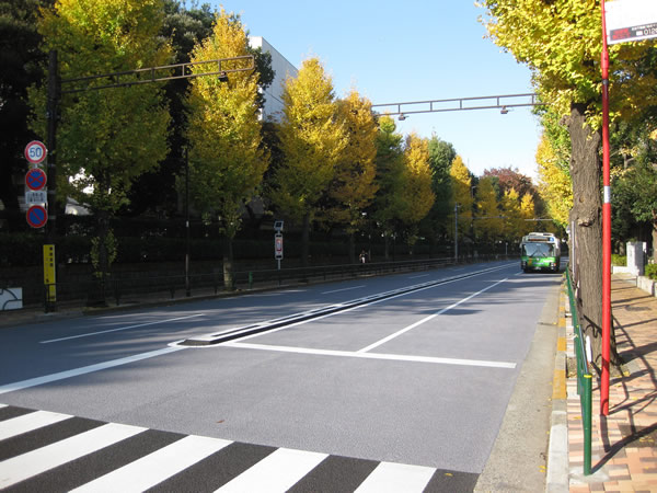 今年も色付き始めた目白通りのイチョウ並木