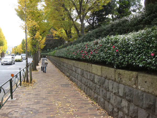 学習院の風格ある囲障