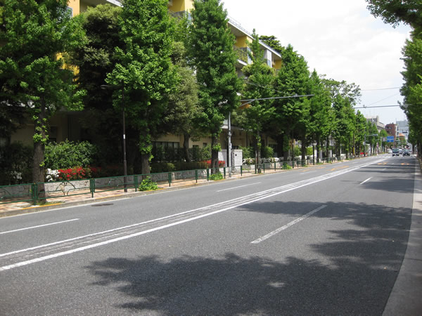 目白小前の新しい道路景観