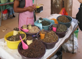 【写真3】市場での昆虫売り