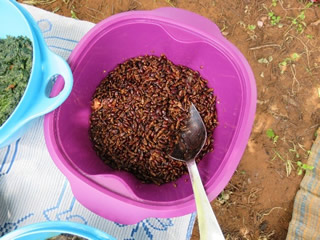 【写真4】シロアリの料理