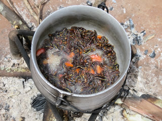 【写真5】イモムシの料理(トマト入り)