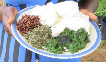 【写真6】女性が食べる1食の食事(茶色の料理がシロアリの料理)