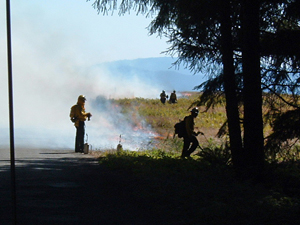 ボールドヒルの草原を維持するための管理火災の様子