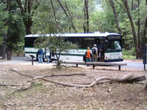 ヨセミテバレー内で運行されている無料のシャトルバス