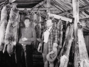 写真12：駆除されたコヨーテの毛皮とレンジャー（1927年　NPS PHOTO）
