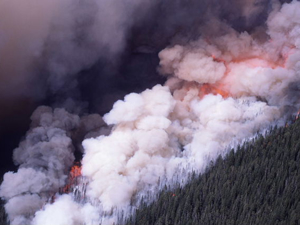 写真13：1988年の森林火災の様子（1988年　NPS PHOTO）