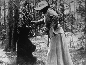 写真31：初期のビジターがクマに餌付けをしているところ（NPS PHOTO）