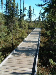写真21：湿地帯の木道は、国立公園のものに比べ幅員が狭い
