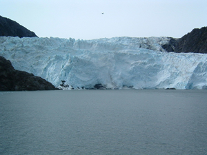 写真37：ホルゲート氷河