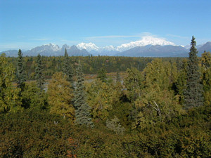 写真1　デナリ州立公園から臨むアラスカ山脈