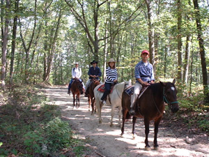 国立公園内のホーストレイルでの乗馬ツアー。初心者でも安心して参加できる