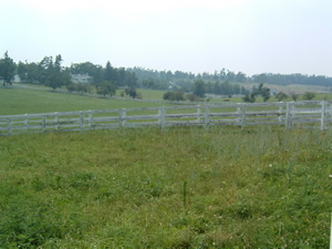 白く塗られた木柵が続く牧場