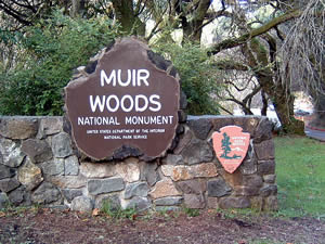 ミュアウッズ国立記念物公園の入口標識には、公園内に残るレッドウッドの大木をイメージさせる輪切りの木材が使われている。
