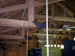 天井板には細い木材がはめ込まれ、吸音効果を高めている