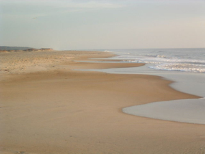 保護区の大西洋側には原生的な砂浜が広がっている。ここならチドリも繁殖できるだろう