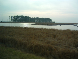 区域内には様々なため池や湿地帯がある