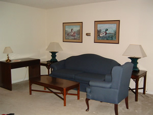 引っ越し先のアパートのリビング。部屋も広く家具もきれいだ。この床いっぱいに資料を並べた。