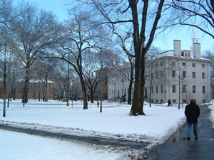 ハーバード大学のキャンパス。
