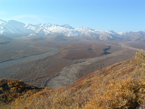 アラスカのデナリ国立公園は、まさにアメリカのフロンティアを連想させるような雄大な景観が広がる。